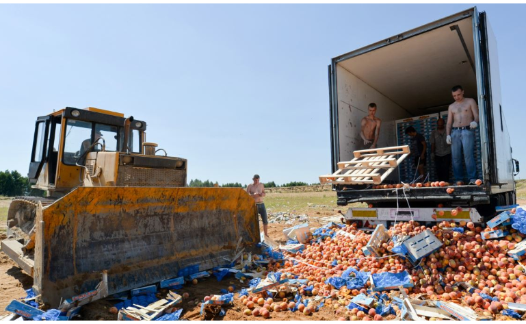 В Тверской области уничтожили более 33 тонн санкционных фруктов и овощей