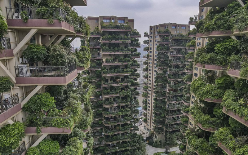 Китайский проект жилого комплекса с «вертикальным лесом» провалился (фото)